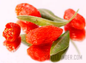 Baies de goji et érection