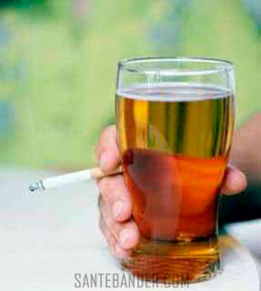 fonction reproductrice masculine