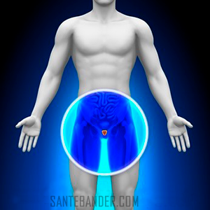 traitement de la prostatite